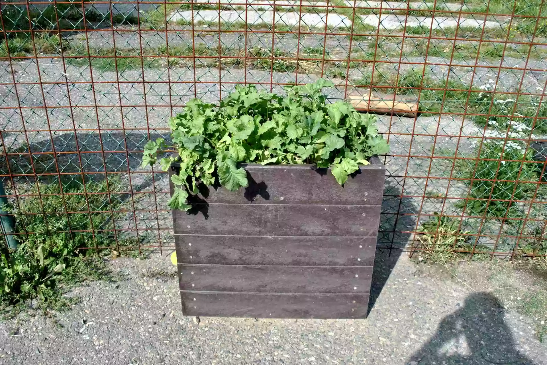 Vyvýšené záhony z plastu za dobrú cenu